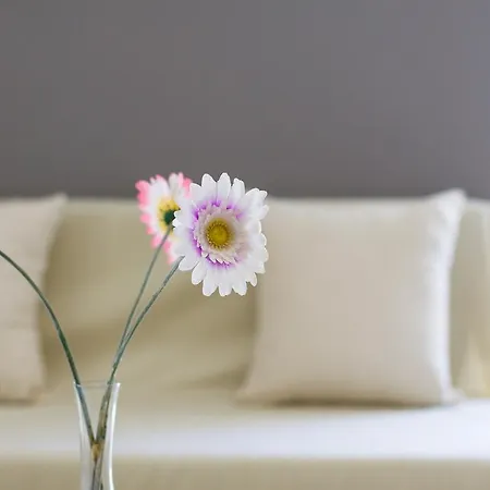 Apartment White Coral Rethymno (Crete)