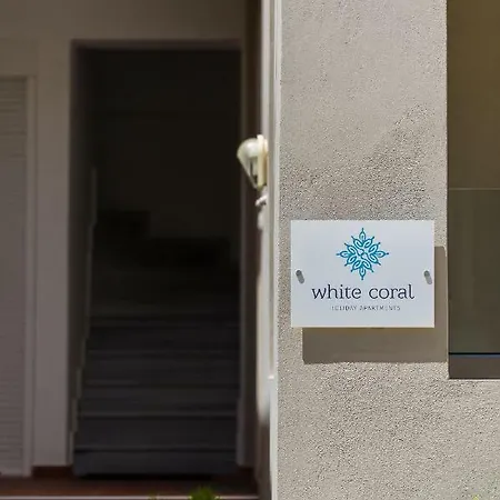 White Coral * Rétino