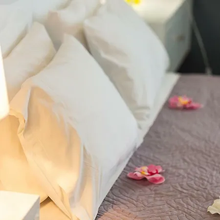 White Coral 罗希姆诺